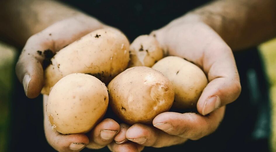 Potatis har en positiv effekt på mäns hälsa