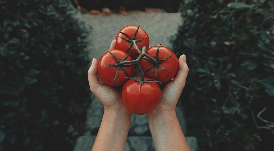 Tomater minskar risken för prostatacancer